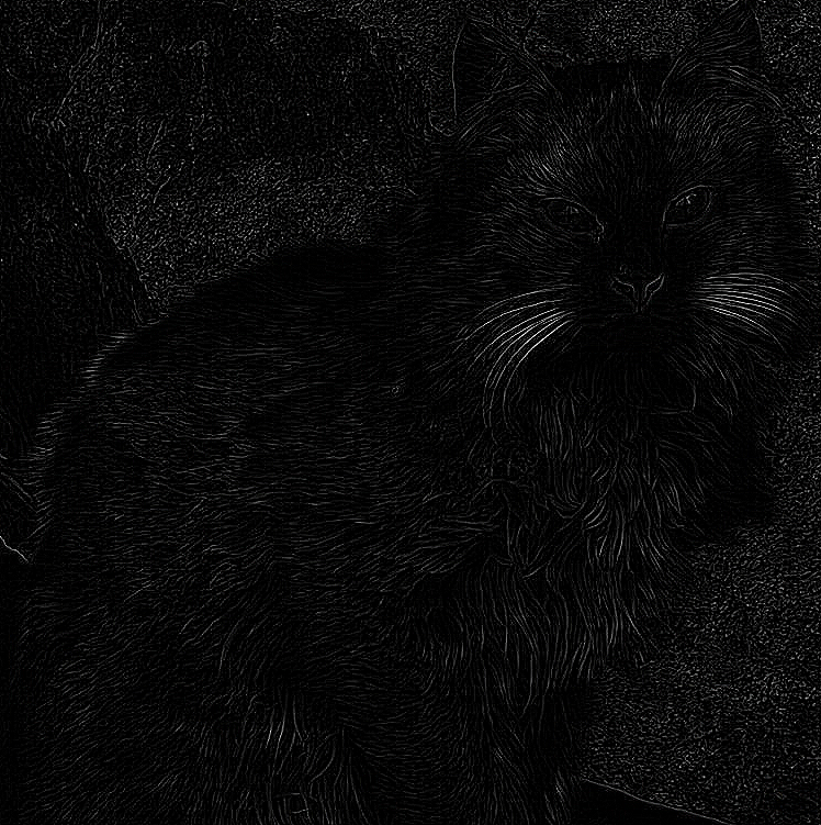 edge convolution cat