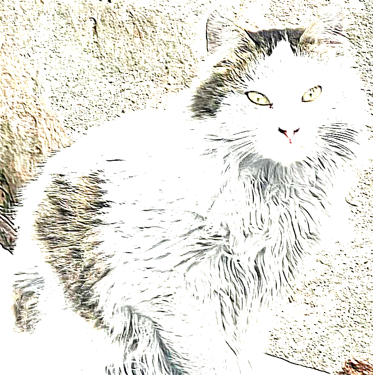 convolution random kernel